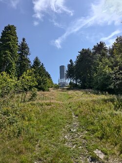 Feldbergturm-vivo.jpg