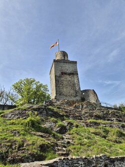 Faleknstein-s24.jpg