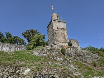 Faleknstein-vivo.jpg