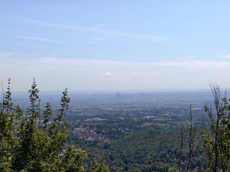 Falkenstein-Frankfurt-zoom-vivo.jpg