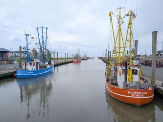 PSX_20250807_201251.jpg