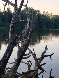 IMG20250807203713.jpg