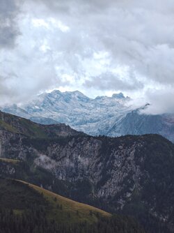 IMG_20250806_123113.jpg