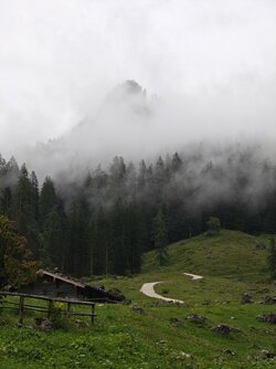 IMG20250801172943.jpg