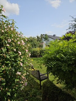 20250806_151630.jpg