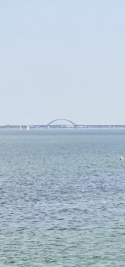 20250808_125434(1).jpg