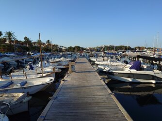 20250715_194443.JPG