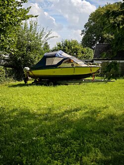 350.jpg