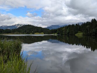 PXL_20250803_153209659.jpg