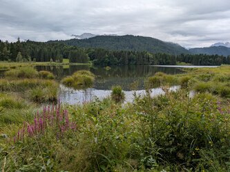 PXL_20250804_082225070.jpg