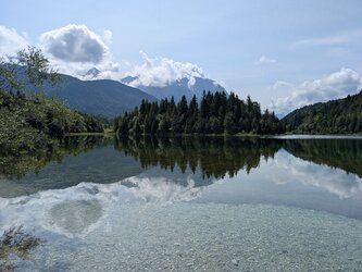 PXL_20250806_094528788.jpg