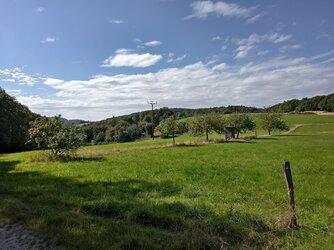 VivoSonne36.jpg