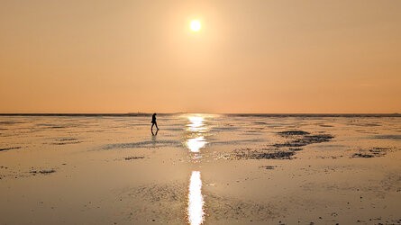 PSX_20250808_223700.jpg