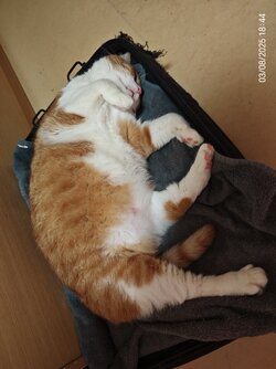 IMG_20250803_184458.jpg