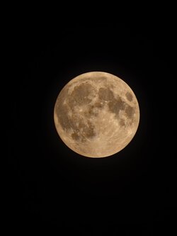 IMG_20250808_223346.jpg
