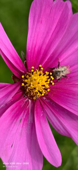 IMG_20250809_102016.jpg