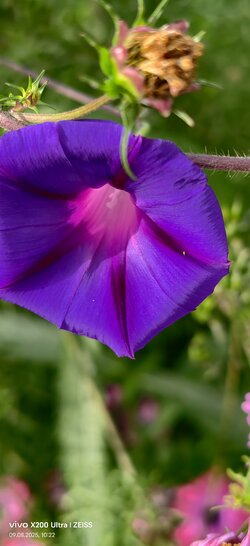 IMG_20250809_102221.jpg