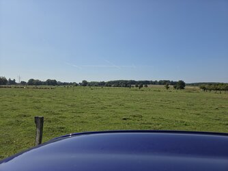 20250809_160646.jpg