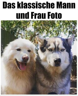 Das_klassische_Mann_und_Frau_Foto.jpg