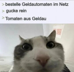 thumbs_picdump946_068.jpg