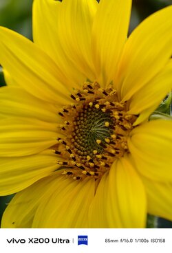 IMG_20250809_182828.jpeg