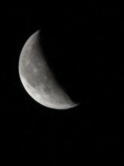 IMG_20250719_031614.jpg