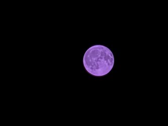 20250809_232205.jpg