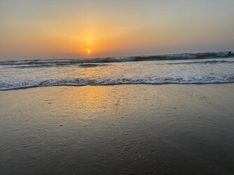 IMG_6638.jpeg