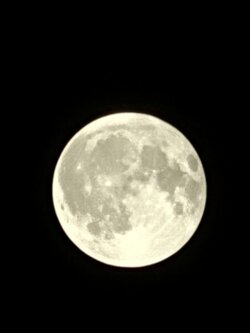IMG20250809235107.jpg
