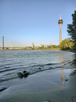 IMG_20250809_193020.jpg