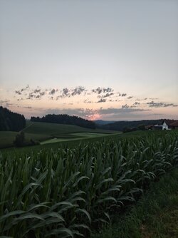 IMG_20250810_060253311.jpg