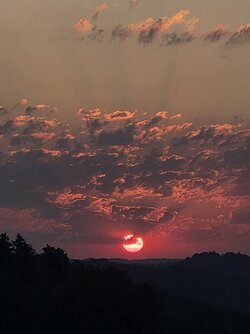 20250810_060449.jpg
