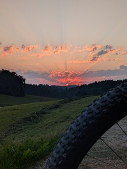PXL_20250810_040749528.jpg