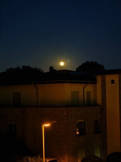 IMG_20250809_221054.jpg