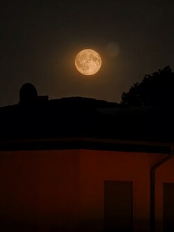 IMG_20250809_223458.jpg