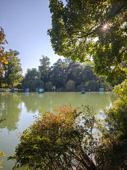 IMG_20250808_173510.jpg