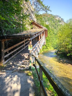 IMG_20250809_081126.jpg