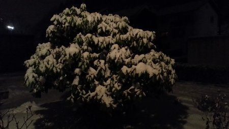 20130115_193709_LLS.jpg
