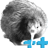 kiwi_kernel_icon_1.png