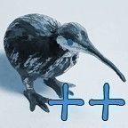 kiwi144.jpg