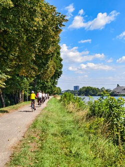 IMG_20250810_131245.jpg