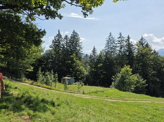 20250810_123603.jpg