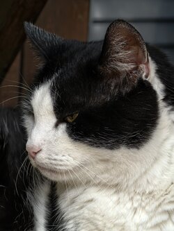 IMG_20250810_144534.jpg