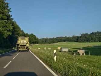 IMG_20250810_194848.jpg