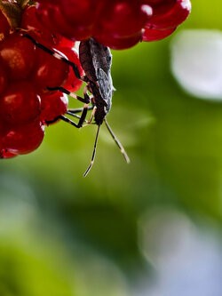 IMG_20250810_185150.jpg