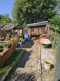 IMG_20250810_114133.jpg