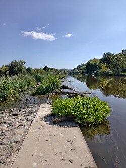 IMG_20250810_113824.jpg
