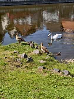 IMG_20250810_113118.jpg