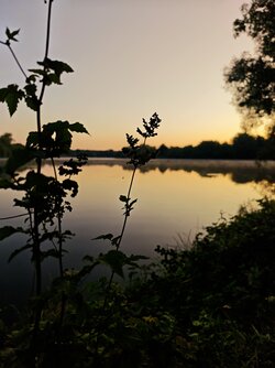 IMG_20250811_054448.jpg