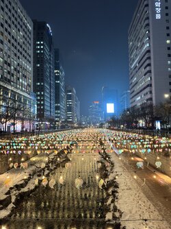 IMG_1851 2.jpeg